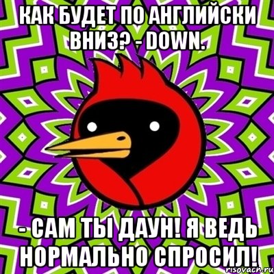 Как будет по Английски Вниз? - Down. - Сам ты Даун! я ВЕДЬ НОРМАЛЬНО СПРОСИЛ!, Мем Омская птица