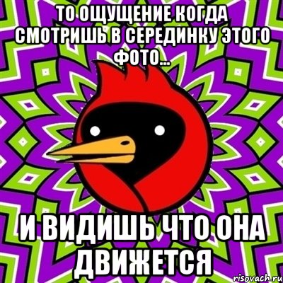 То ощущение когда смотришь в серединку этого фото... И видишь что она движется, Мем Омская птица