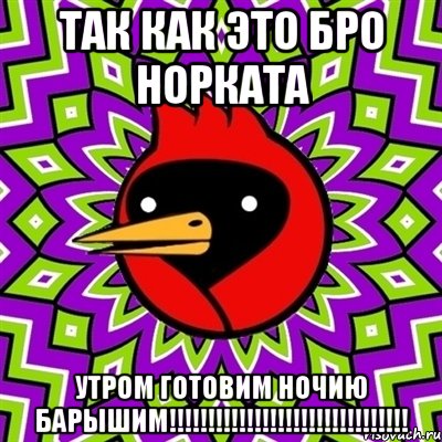 так как это БРО норката УТРОМ ГОТОВИМ НОЧИЮ БАРЫШИМ!!!!!!!!!!!!!!!!!!!!!!!!!!!!!!!, Мем Омская птица