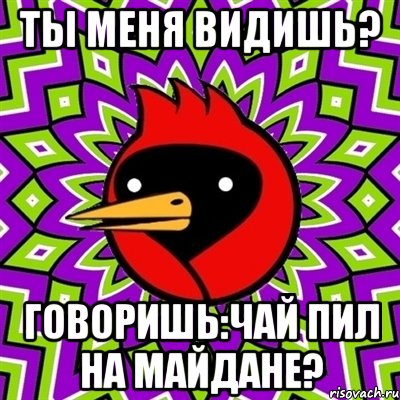 ты меня видишь? говоришь:чай пил на Майдане?, Мем Омская птица