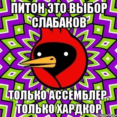 питон это выбор слабаков только ассемблер, только хардкор, Мем Омская птица