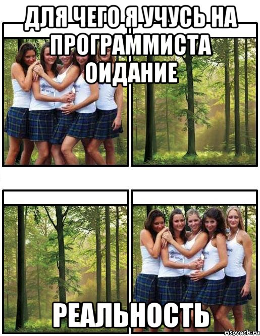 для чего я учусь на программиста оидание реальность
