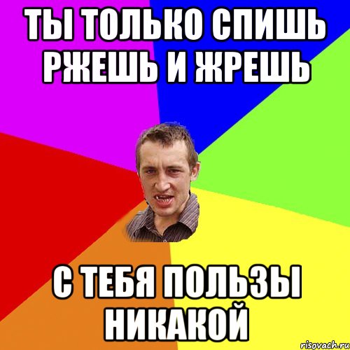 ты только спишь ржешь и жрешь с тебя пользы никакой, Мем Чоткий паца