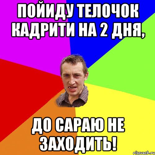 Пойиду телочок кадрити на 2 дня, до сараю не заходить!, Мем Чоткий паца