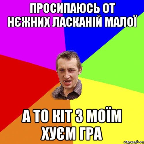 Просипаюсь от нєжних ласканій малої а то кіт з моїм хуєм гра, Мем Чоткий паца