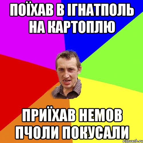 поїхав в ігнатполь на картоплю приїхав немов пчоли покусали, Мем Чоткий паца