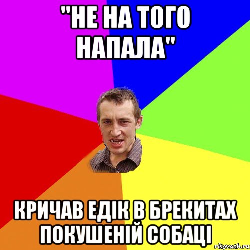 "НЕ НА ТОГО НАПАЛА" КРИЧАВ ЕДІК В БРЕКИТАХ ПОКУШЕНІЙ СОБАЦІ, Мем Чоткий паца