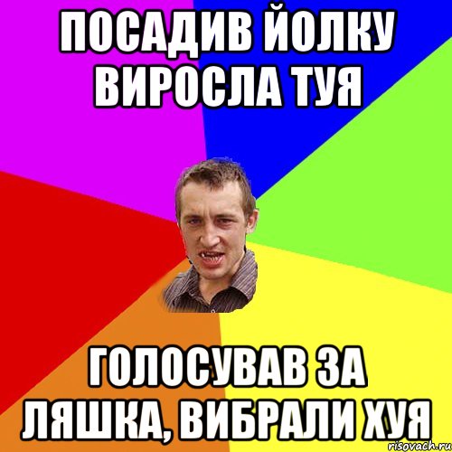 посадив йолку виросла туя голосував за ляшка, вибрали хуя, Мем Чоткий паца