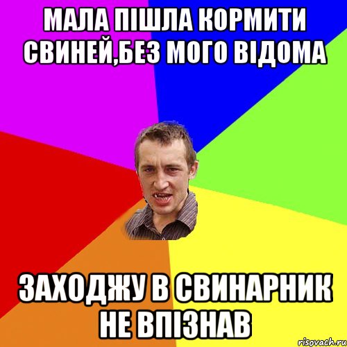 Мала пішла кормити свиней,без мого відома заходжу в свинарник не впізнав