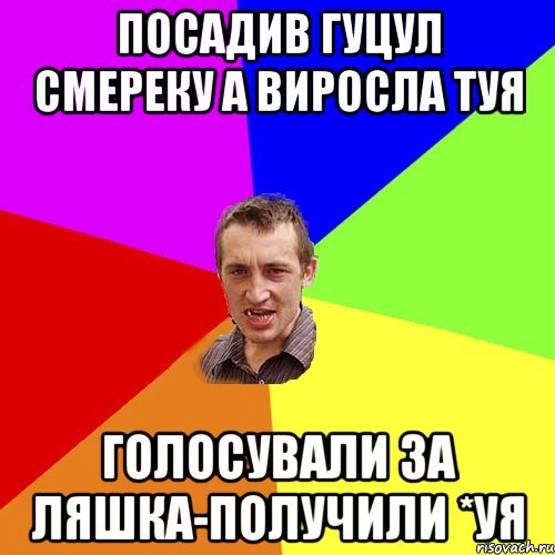 Посадив гуцул смереку а виросла туя голосували за Ляшка-получили *уя, Мем Чоткий паца