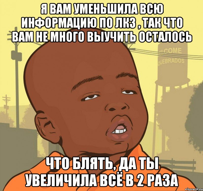 я вам уменьшила всю информацию по лкз , так что вам не много выучить осталось что блять, да ты увеличила всё в 2 раза, Мем Пацан наркоман