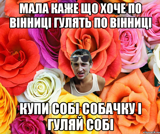 мала каже що хоче по Вінниці гулять по Вінниці купи собі собачку і гуляй собі, Мем  пацанчо