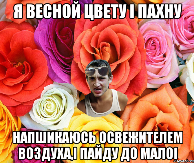 я весной цвету i пахну напшикаюсь освежителем воздуха,i пайду до малоi, Мем  пацанчо