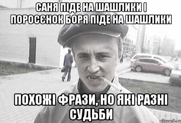 Саня піде на шашлики і поросєнок Боря піде на шашлики похожі фрази, но які разні судьби, Мем Пацанська философия