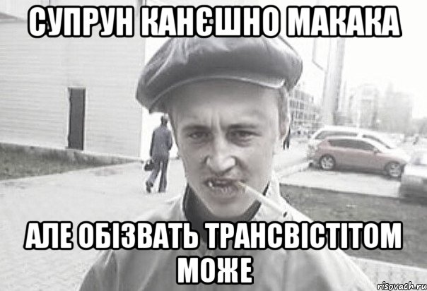 Супрун канєшно макака але обізвать трансвістітом може, Мем Пацанська философия