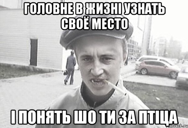 головне в жизні узнать своё место і понять шо ти за птіца, Мем Пацанська философия