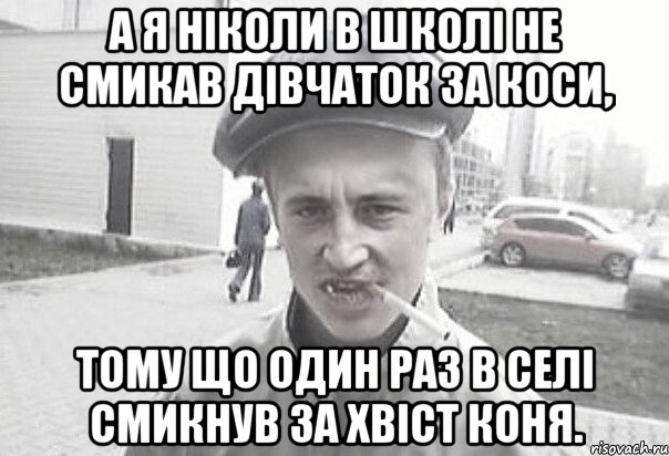 А я ніколи в школі не смикав дівчаток за коси, тому що один раз в селі смикнув за хвіст коня., Мем Пацанська философия