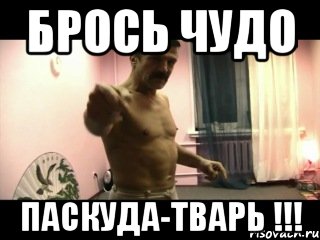 Брось чудо Паскуда-тварь !!!, Мем Паскуда тварь