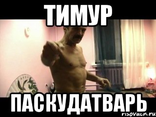 Тимур Паскудатварь, Мем Паскуда тварь