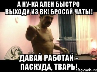 А ну-ка Ален быстро выходи из ВК! Бросай чаты! Давай работай - паскуда, тварь!, Мем Паскуда тварь