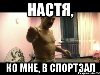 Настя, ко мне, в спортзал, Мем Паскуда тварь