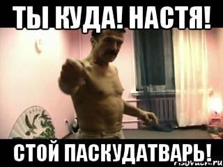 Ты куда! Настя! Стой паскудатварь!, Мем Паскуда тварь