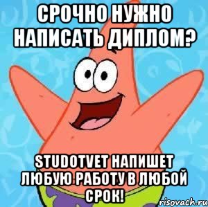 СРОЧНО нужно написать диплом? Studotvet напишет любую работу в любой срок!, Мем Патрик