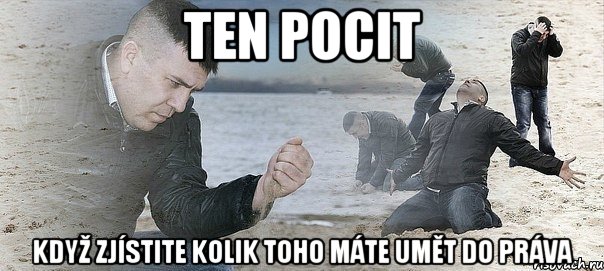 ТEN POCIT KDYŽ ZJÍSTITE KOLIK TOHO MÁTE UMĚT DO PRÁVA, Мем Мужик сыпет песок на пляже