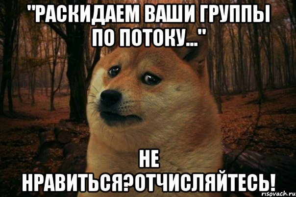 "Раскидаем ваши группы по потоку..." Не нравиться?Отчисляйтесь!, Мем SAD DOGE