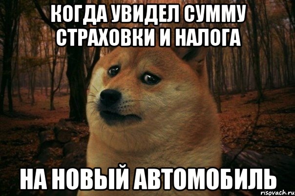 Когда увидел сумму страховки и налога на новый автомобиль, Мем SAD DOGE