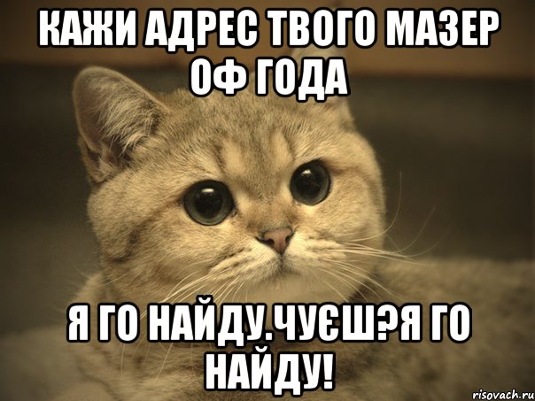 Кажи адрес твого Мазер оф Года Я го найду.Чуєш?Я го найду!, Мем Пидрила ебаная котик