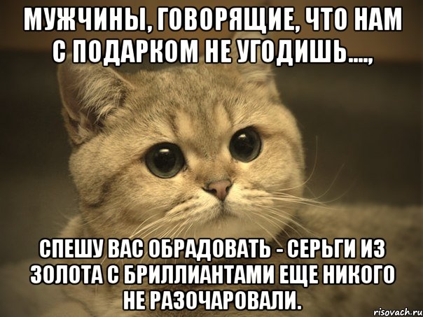 Мужчины, говорящие, что нам с подарком не угодишь...., спешу вас обрадовать - серьги из золота с бриллиантами еще никого не разочаровали., Мем Пидрила ебаная котик