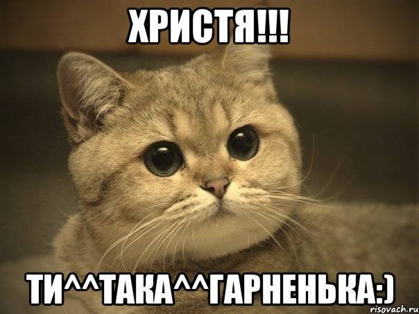 Христя!!! Ти^^така^^гарненька:), Мем Пидрила ебаная котик