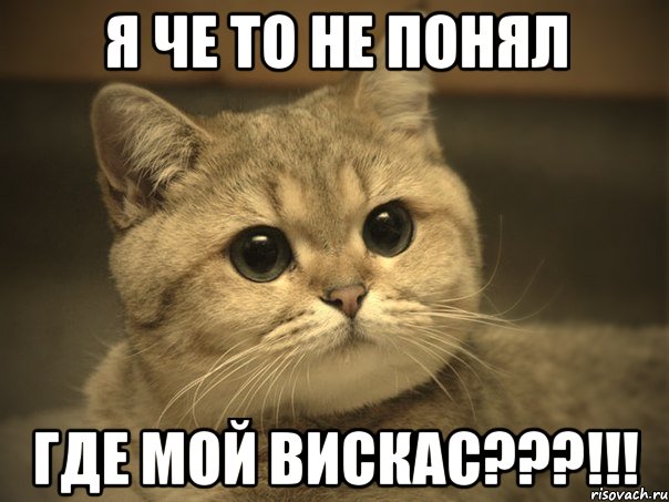 Я че то не понял Где мой ВИСКАС???!!!, Мем Пидрила ебаная котик