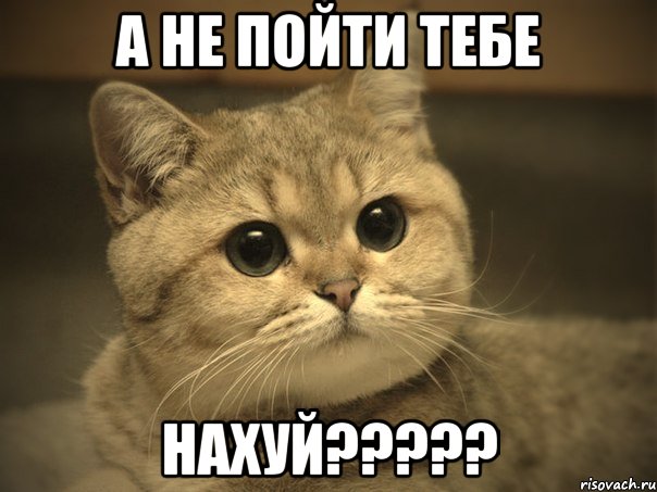 А НЕ ПОЙТИ ТЕБЕ НАХУЙ?????, Мем Пидрила ебаная котик