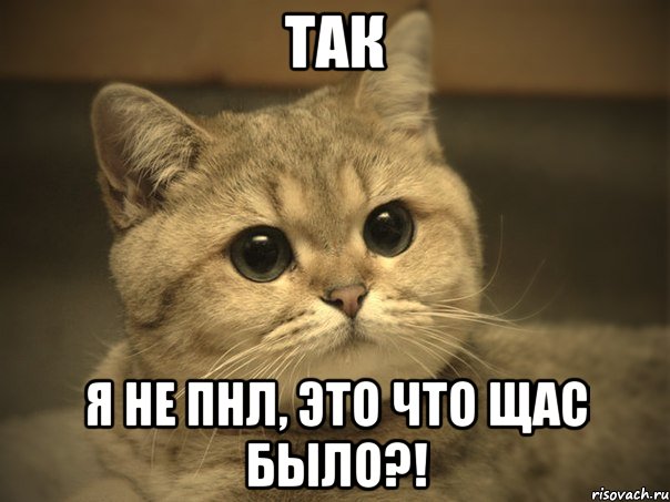 так я не пнл, это что щас было?!, Мем Пидрила ебаная котик