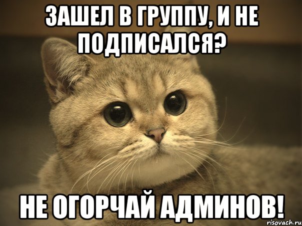 Зашел в группу, и не подписался? Не огорчай админов!, Мем Пидрила ебаная котик