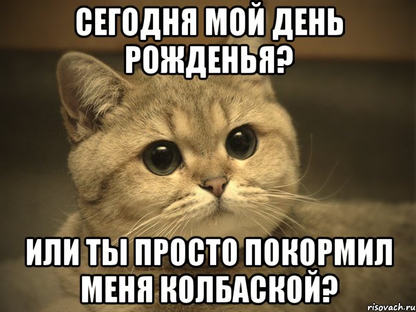 Сегодня мой день рожденья? Или ты просто покормил меня колбаской?, Мем Пидрила ебаная котик