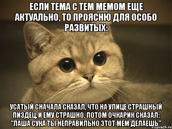 если тема с тем мемом еще актуально, то проясню для особо развитых: усатый сначала сказал, что на улице страшный пиздец, и ему страшно. потом очкарик сказал: "лаша сука ты неправильно этот мем делаешь", Мем Пидрила ебаная котик