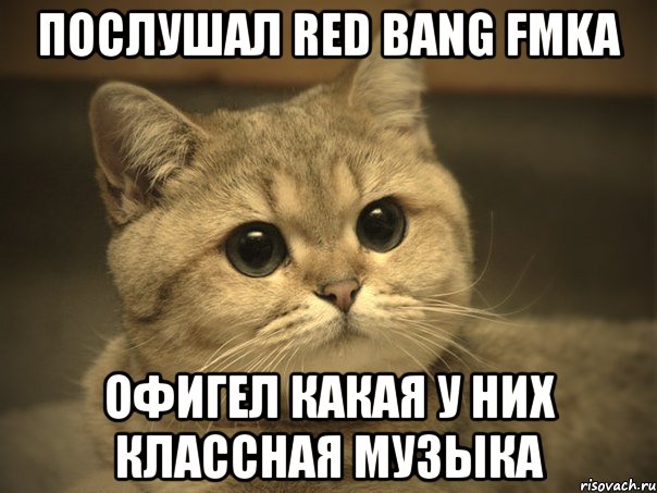 Послушал RED BANG FMKA Офигел какая у них классная музыка, Мем Пидрила ебаная котик