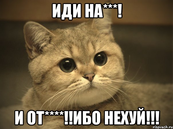 Иди на***! И от****!!ИБО НЕХУЙ!!!, Мем Пидрила ебаная котик