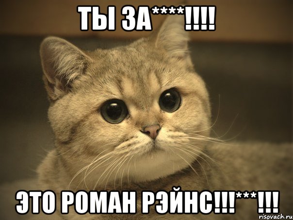 Ты за****!!!! Это РОМАН РЭЙНС!!!***!!!, Мем Пидрила ебаная котик