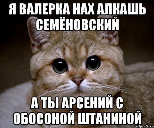 Я Валерка нах Алкашь семёновский А Ты Арсений с обосоной штаниной, Мем Пидрила Ебаная