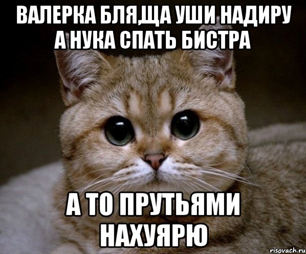 Валерка бля,ща уши надиру а нука спать бистра а то прутьями нахуярю, Мем Пидрила Ебаная