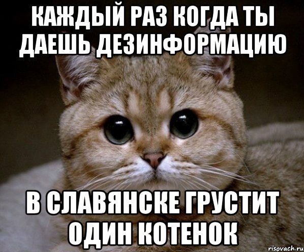 Каждый раз когда ты даешь дезинформацию в Славянске грустит один котенок, Мем Пидрила Ебаная