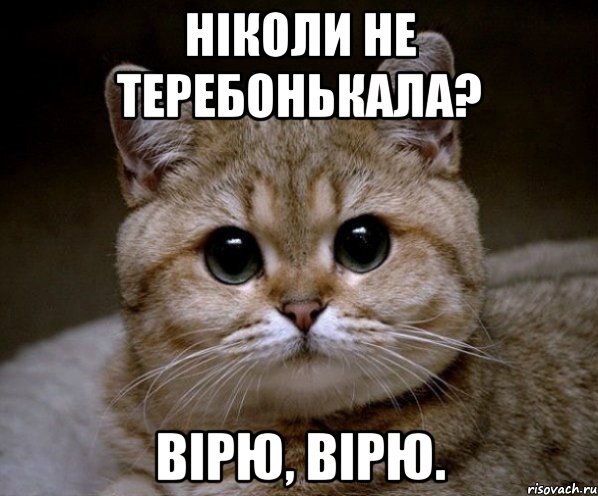 Ніколи не теребонькала? Вірю, вірю., Мем Пидрила Ебаная