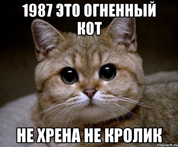 1987 это огненный кот не хрена не кролик, Мем Пидрила Ебаная