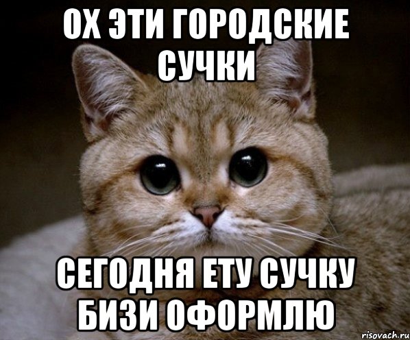 ох эти городские сучки сегодня ету сучку бизи оформлю, Мем Пидрила Ебаная