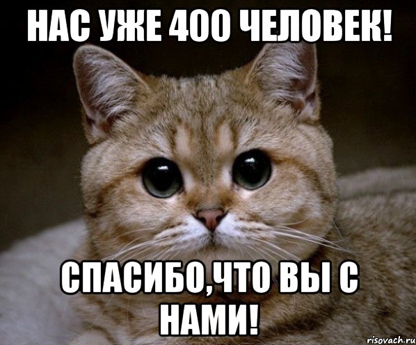 Нас уже 400 человек! Спасибо,что вы с нами!, Мем Пидрила Ебаная