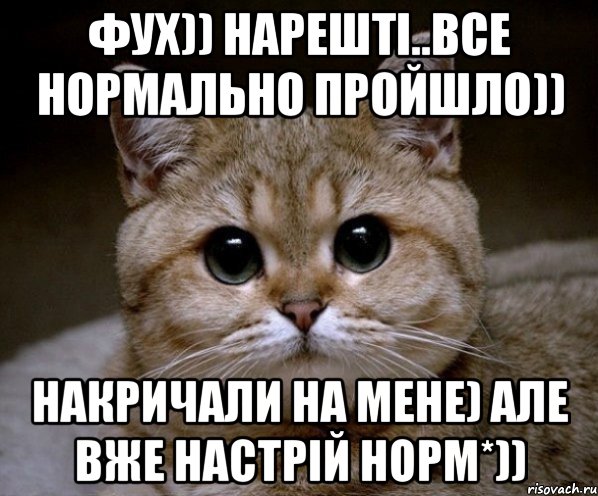 фух)) нарешті..все нормально пройшло)) накричали на мене) але вже настрій норм*)), Мем Пидрила Ебаная